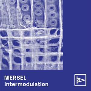 Merged Waves (Anechoic Remix)