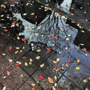 Sog'inma Yurak(心不要想)（混音版）