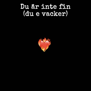 Du är inte fin (du e vacker)
