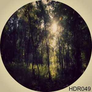 Deep Shapes (Original Mix)