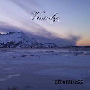 Snødekte skogens veiene