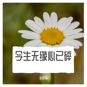 今生无缘心已碎 （音乐抢先听）预告段落