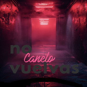 No vuelvas