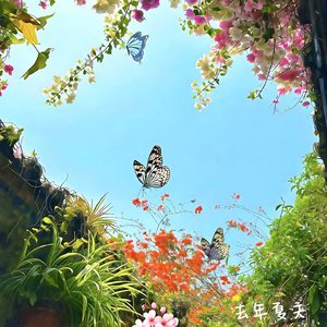 去年夏天（在失去中我慢慢的变呆）