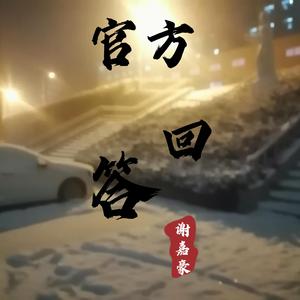 官方回答（片段）