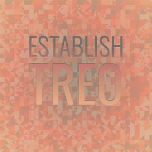 Establish Treo
