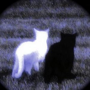 你是我的羁绊 (降速版)