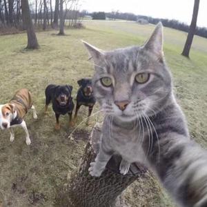 笑（翻自 太一）