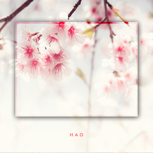 벚꽃 구경 가지 않으실래요