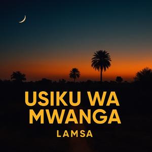 Usiku wa Mwanga
