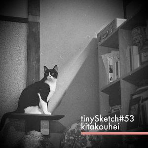 tinySketch #53