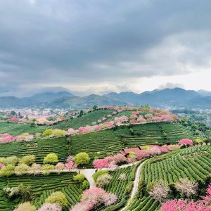 新桃花源记·丙午马年