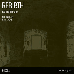 Rebirth (Djim Krone Remix)