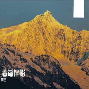 清宵伴影