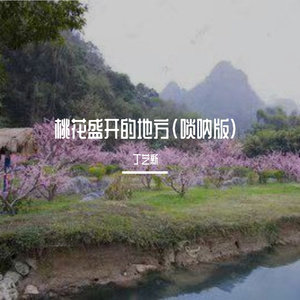 桃花盛开的地方(唢呐版)