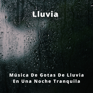 Ducha De Lluvia Tranquila