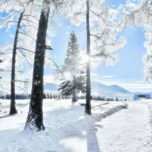 占有欲 Prod From JestonBeatz