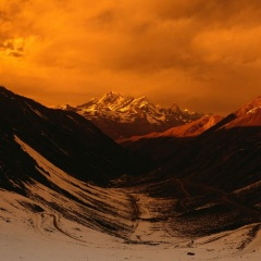 我的生命我的爱