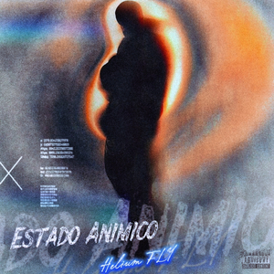 Estado Animico