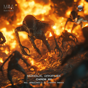 The chaos (Original Mix)