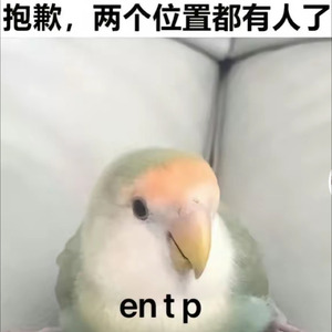 最好的我 (我不在乎什么天长地久)