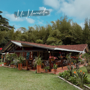 Mi Maravilla