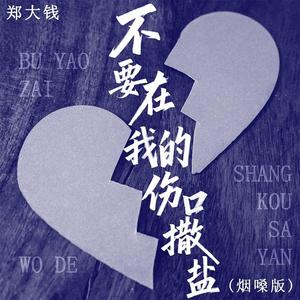 不要在我的伤口撒盐 (烟嗓版伴奏)