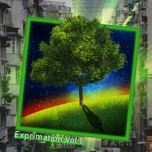 Survoler (2019.10.14)