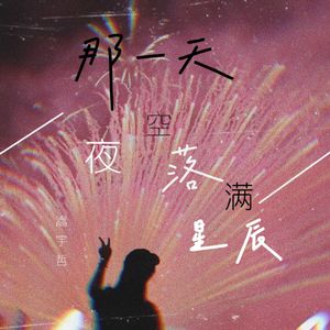 那一天，夜空落满星辰