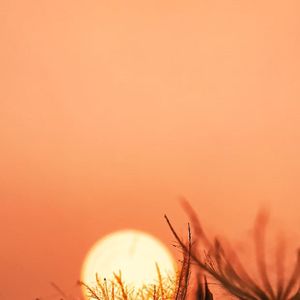 潮起潮落间的宁静之海