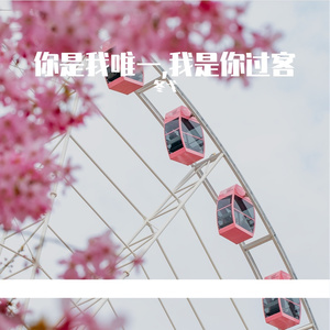你是我唯一,我是你过客