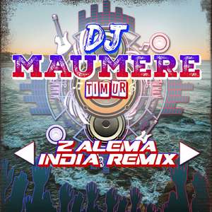 DJ Zalema India Remix