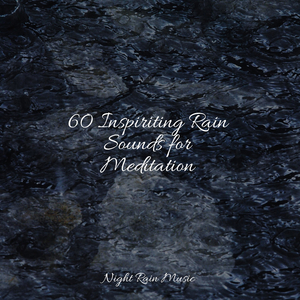 Forest, Morning, Birds, Bugs