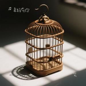 笼 (幸好有你 Remix)