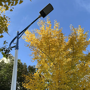 DJ江户川-全国语Electro诺言抖音热门歌曲串烧