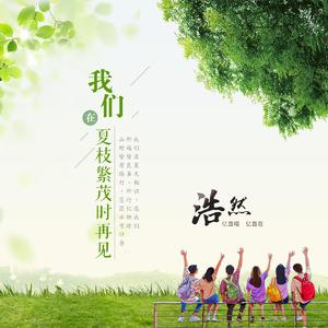 我们在夏枝繁茂时再见