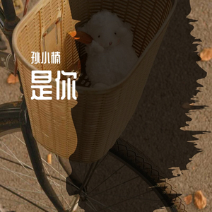 枫叶城