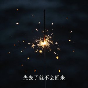 失去了就不会回来