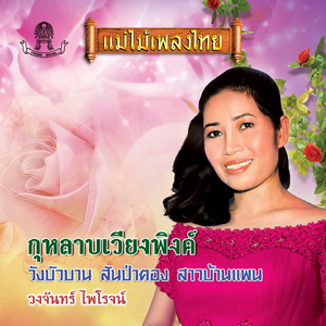 กุหลาบเวียงพิงค์