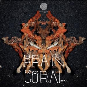 Modular Pants (feat. Tilaka)