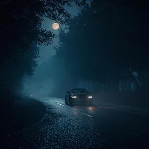 Moonlit Drive