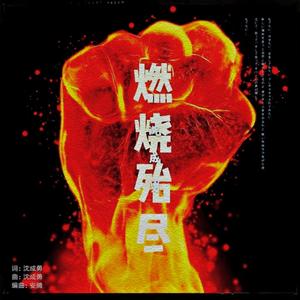 燃烧殆尽-沈成勇