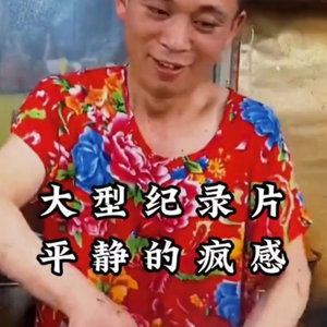 大型纪录片《平静的疯感》