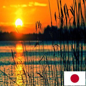 夜のビーチの音