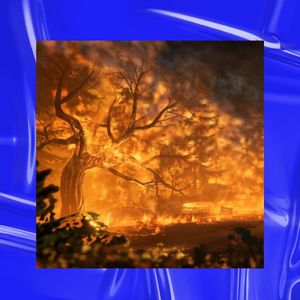 【免费无水印】"战火"