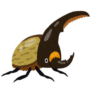 ネプチューンオオカブト