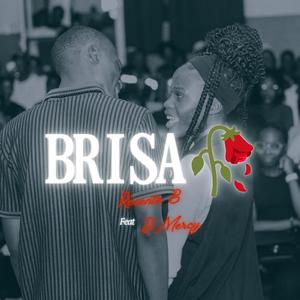 Brisa (feat. D'Mercy)