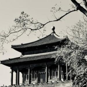 FREE 立竿见影 中国风 boombap
