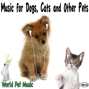 Pet Music