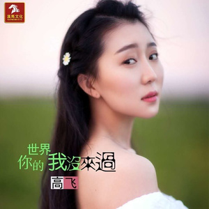 你的世界我没有来过 (伴奏)